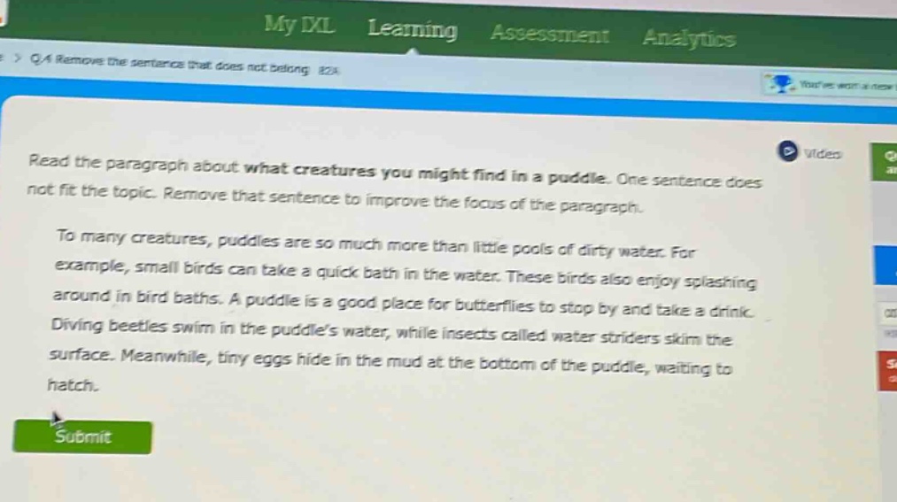read the paragraph about what creatures you might find in a puddle. one sentence does not fit the topic. remove that sentence to improve the focus of the paragraph. to many creatures, puddles are so much more than little pools of dirty water. for example, small birds can take a quick bath in the water. these birds also enjoy splashing around in bird baths. a puddle is a good place for butterflies to stop by and take a drink. diving beetles swim in the puddles water, while insects called water striders skim the surface. meanwhile, tiny eggs hide in the mud at the bottom of the puddle, waiting to hatch.