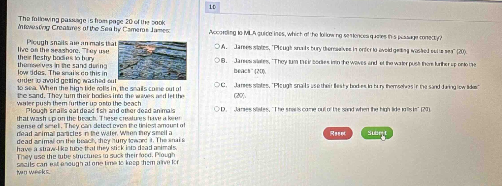 the following passage is from page 20 of the book interesting creatures of the sea by cameron james: plough snails are animals that live on the seashore. they use their fleshy bodies to bury themselves in the sand during low tides. the snails do this in order to avoid getting washed out to sea. when the high tide rolls in, the snails come out of the sand. they turn their bodies into the waves and let the water push them further up onto the beach. plough snails eat dead fish and other dead animals that wash up on the beach. these creatures have a keen sense of smell. they can detect even the tiniest amount of dead animal particles in the water. when they smell a dead animal on the beach, they hurry toward it. the snails have a straw - like tube that they stick into dead animals. they use the tube structures to suck their food. plough snails can eat enough at one time to keep them alive for two weeks. 10 according to mla guidelines, which of the following sentences quotes this passage correctly? a. james states, \plough snails bury themselves in order to avoid getting washed out to sea\ (20). b. james states, \they turn their bodies into the waves and let the water push them further up onto the beach\ (20). c. james states, \plough snails use their fleshy bodies to bury themselves in the sand during low tides\ (20). d. james states, \the snails come out of the sand when the high tide rolls in\ (20). reset submit