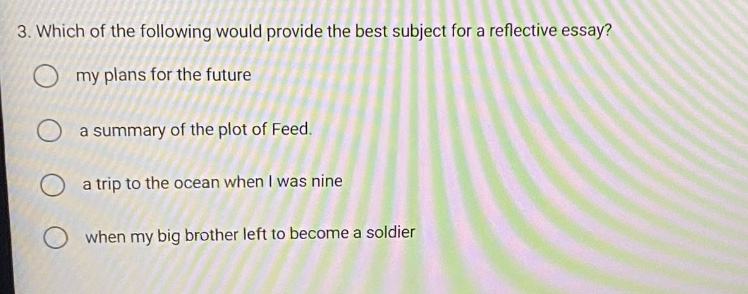 3. which of the following would provide the best subject for a reflective essay? my plans for the future a summary of the plot of feed. a trip to the ocean when i was nine when my big brother left to become a soldier