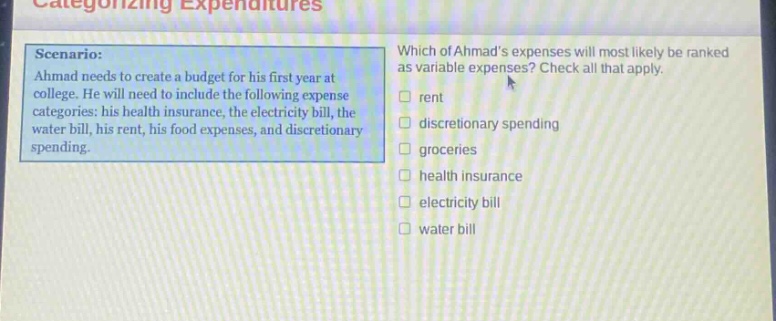 scenario: ahmad needs to create a budget for his first year at college. he will need to include the following expense categories: his health insurance, the electricity bill, the water bill, his rent, his food expenses, and discretionary spending. which of ahmads expenses will most likely be ranked as variable expenses? check all that apply. rent discretionary spending groceries health insurance electricity bill water bill
