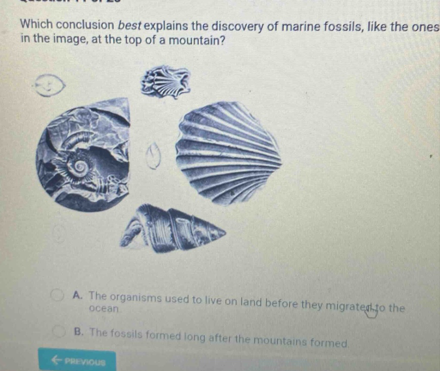which conclusion best explains the discovery of marine fossils, like the ones in the image, at the top of a mountain? a. the organisms used to live on land before they migrated to the ocean b. the fossils formed long after the mountains formed
