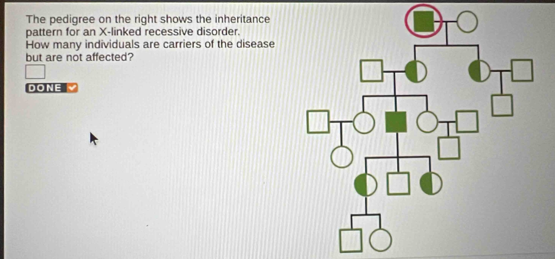 the pedigree on the right shows the inheritance pattern for an x - linked recessive disorder. how many individuals are carriers of the disease but are not affected? done