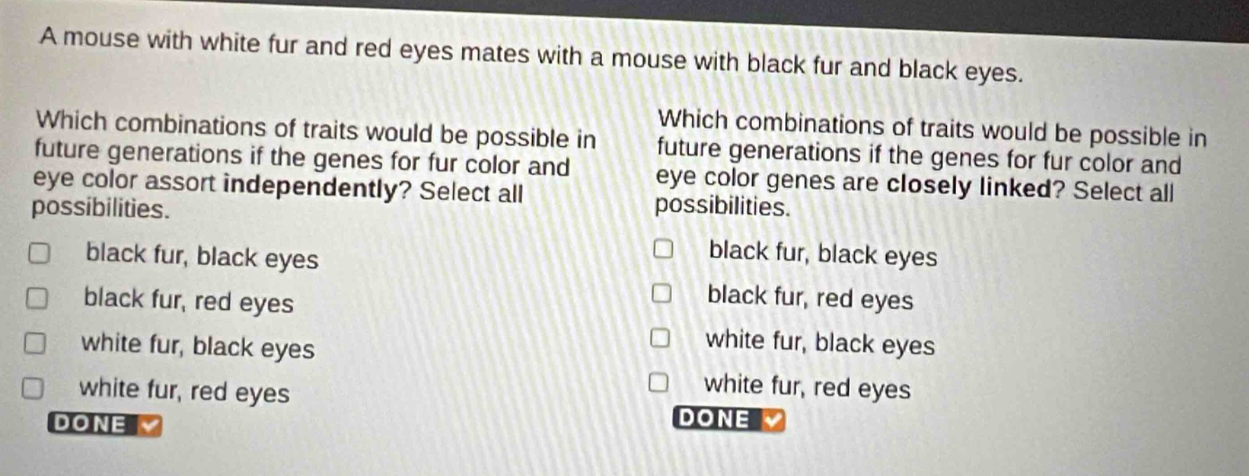 a mouse with white fur and red eyes mates with a mouse with black fur and black eyes. which combinations of traits would be possible in future generations if the genes for fur color and eye color assort independently? select all possibilities. black fur, black eyes black fur, red eyes white fur, black eyes white fur, red eyes done which combinations of traits would be possible in future generations if the genes for fur color and eye color genes are closely linked? select all possibilities. black fur, black eyes black fur, red eyes white fur, black eyes white fur, red eyes done