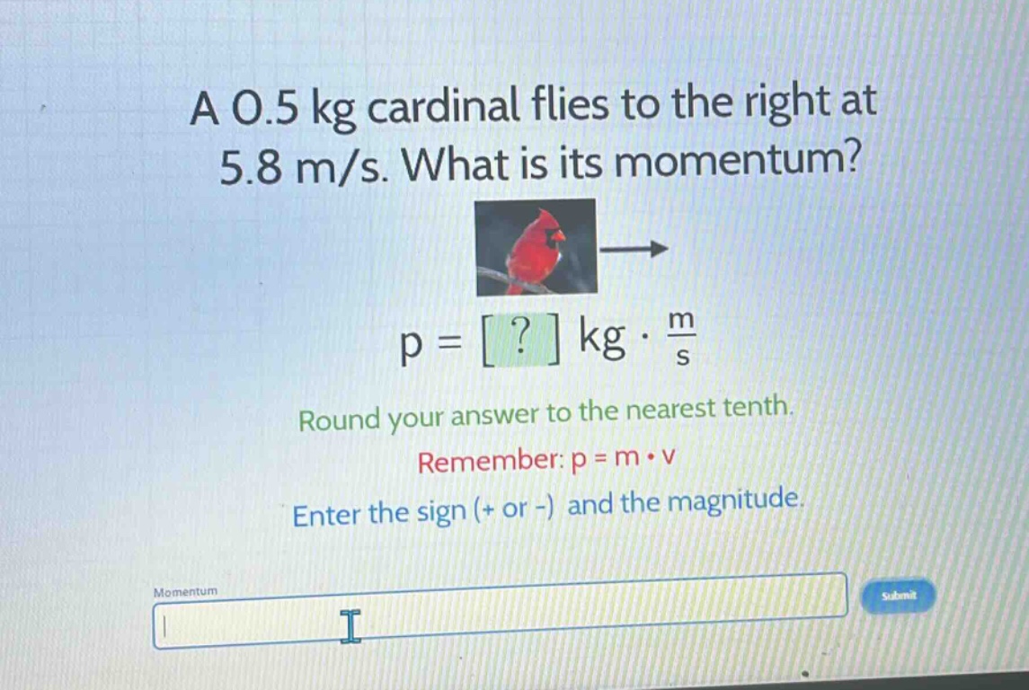 a 0.5 kg cardinal flies to the right at 5.8 m/s. what is its momentum? p = ? kg · m/s round your answer to the nearest tenth. remember: p = m · v enter the sign (+ or -) and the magnitude.