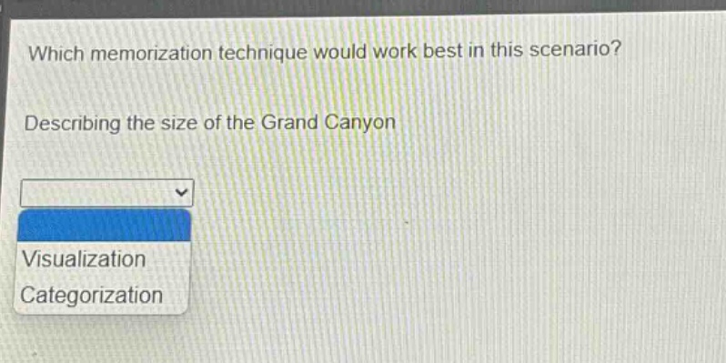 which memorization technique would work best in this scenario? describing the size of the grand canyon visualization categorization