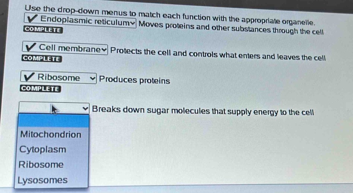 use the drop - down menus to match each function with the appropriate organelle. endoplasmic reticulum moves proteins and other substances through the cell complete cell membrane protects the cell and controls what enters and leaves the cell complete ribosome produces proteins complete breaks down sugar molecules that supply energy to the cell mitochondrion cytoplasm ribosome lysosomes