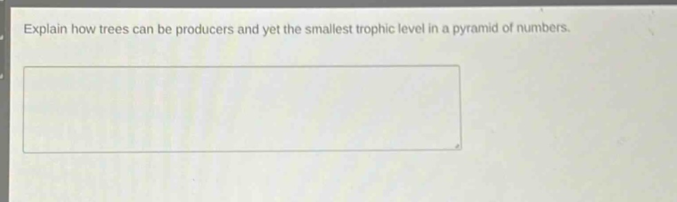 explain how trees can be producers and yet the smallest trophic level in a pyramid of numbers.