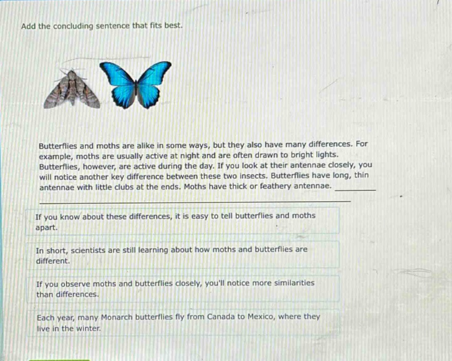 add the concluding sentence that fits best. butterflies and moths are alike in some ways, but they also have many differences. for example, moths are usually active at night and are often drawn to bright lights. butterflies, however, are active during the day. if you look at their antennae closely, you will notice another key difference between these two insects. butterflies have long, thin antennae with little clubs at the ends. moths have thick or feathery antennae. if you know about these differences, it is easy to tell butterflies and moths apart. in short, scientists are still learning about how moths and butterflies are different. if you observe moths and butterflies closely, youll notice more similarities than differences. each year, many monarch butterflies fly from canada to mexico, where they live in the winter.