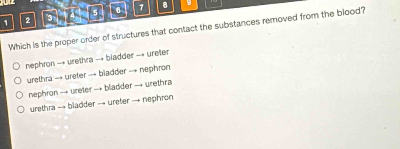 which is the proper order of structures that contact the substances removed from the blood?\nnephron → urethra → bladder → ureter\nurethra → ureter → bladder → nephron\nnephron → ureter → bladder → urethra\nurethra → bladder → ureter → nephron