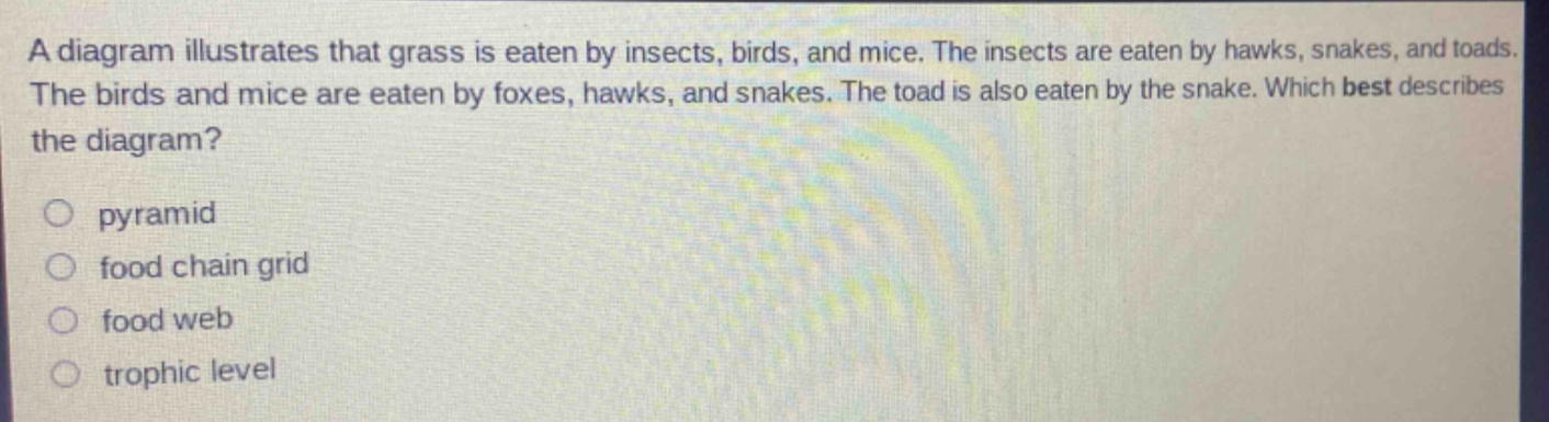 a diagram illustrates that grass is eaten by insects, birds, and mice. the insects are eaten by hawks, snakes, and toads. the birds and mice are eaten by foxes, hawks, and snakes. the toad is also eaten by the snake. which best describes the diagram?\npyramid\nfood chain grid\nfood web\ntrophic level