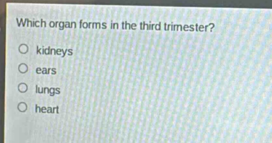 which organ forms in the third trimester?\no kidneys\no ears\no lungs\no heart