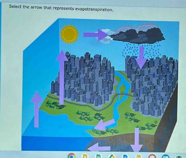 select the arrow that represents evapotranspiration.