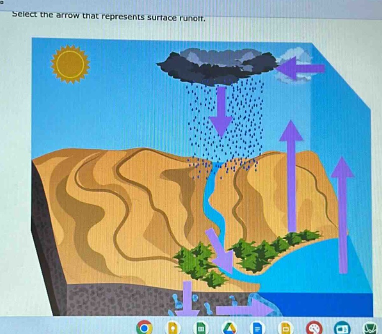 select the arrow that represents surface runoff.
