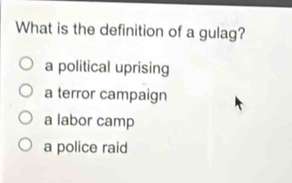 what is the definition of a gulag?\n a political uprising\n a terror campaign\n a labor camp\n a police raid