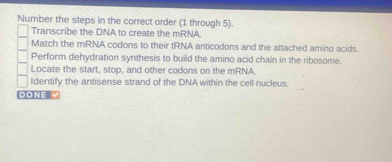 number the steps in the correct order (1 through 5). transcribe the dna to create the mrna. match the mrna codons to their trna anticodons and the attached amino acids. perform dehydration synthesis to build the amino acid chain in the ribosome. locate the start, stop, and other codons on the mrna. identify the antisense strand of the dna within the cell nucleus.