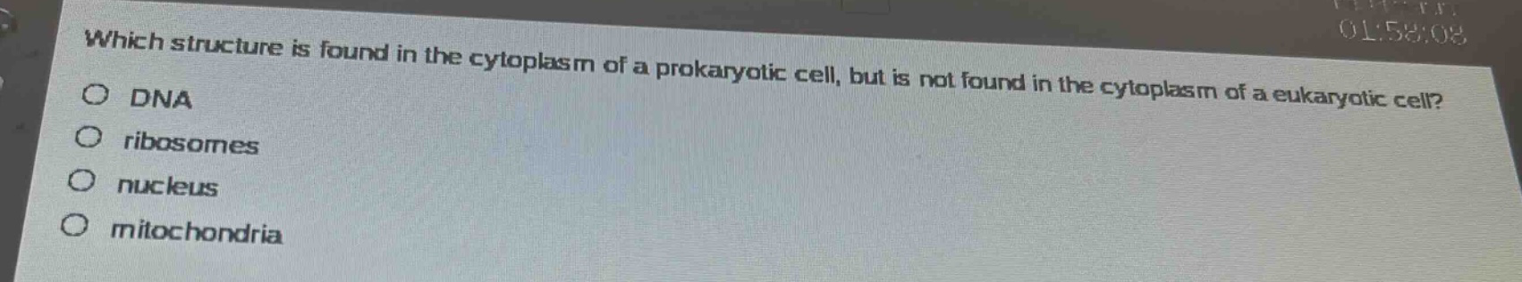 which structure is found in the cytoplasm of a prokaryotic cell, but is not found in the cytoplasm of a eukaryotic cell?\ndna\nribosomes\nnucleus\nmitochondria