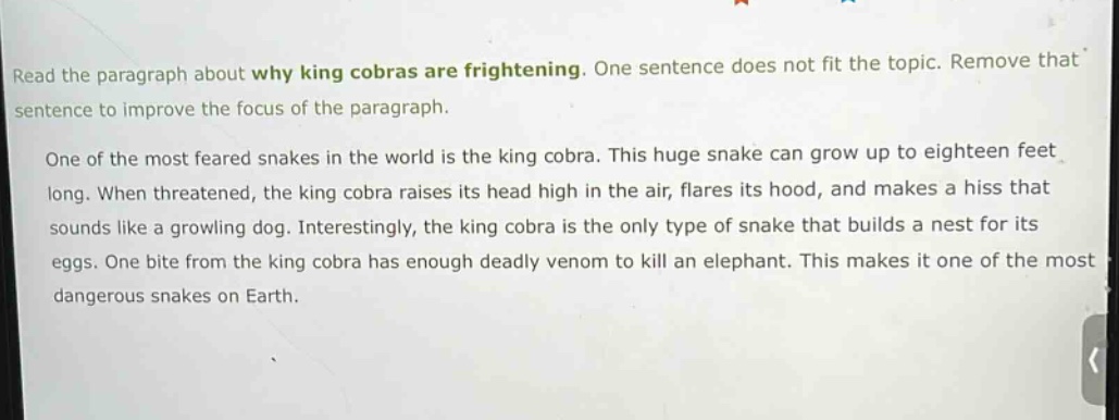 read the paragraph about why king cobras are frightening. one sentence does not fit the topic. remove that sentence to improve the focus of the paragraph. one of the most feared snakes in the world is the king cobra. this huge snake can grow up to eighteen feet long. when threatened, the king cobra raises its head high in the air, flares its hood, and makes a hiss that sounds like a growling dog. interestingly, the king cobra is the only type of snake that builds a nest for its eggs. one bite from the king cobra has enough deadly venom to kill an elephant. this makes it one of the most dangerous snakes on earth.