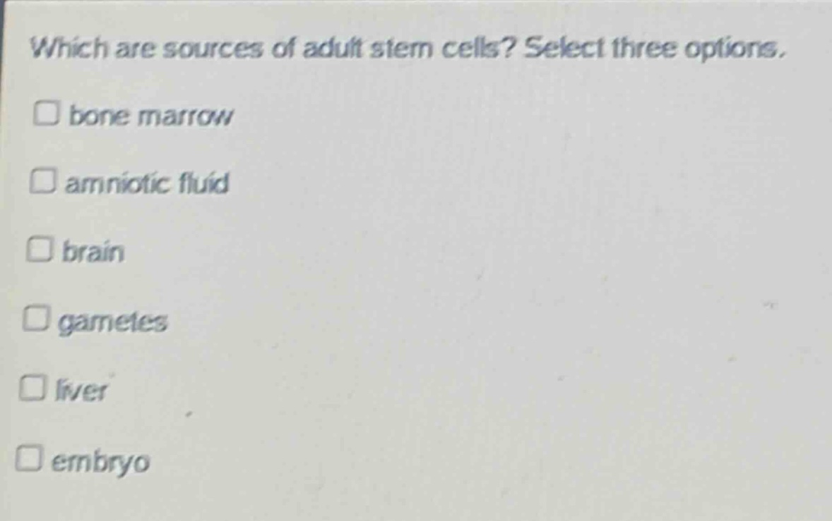 which are sources of adult stem cells? select three options. bone marrow amniotic fluid brain gametes liver embryo