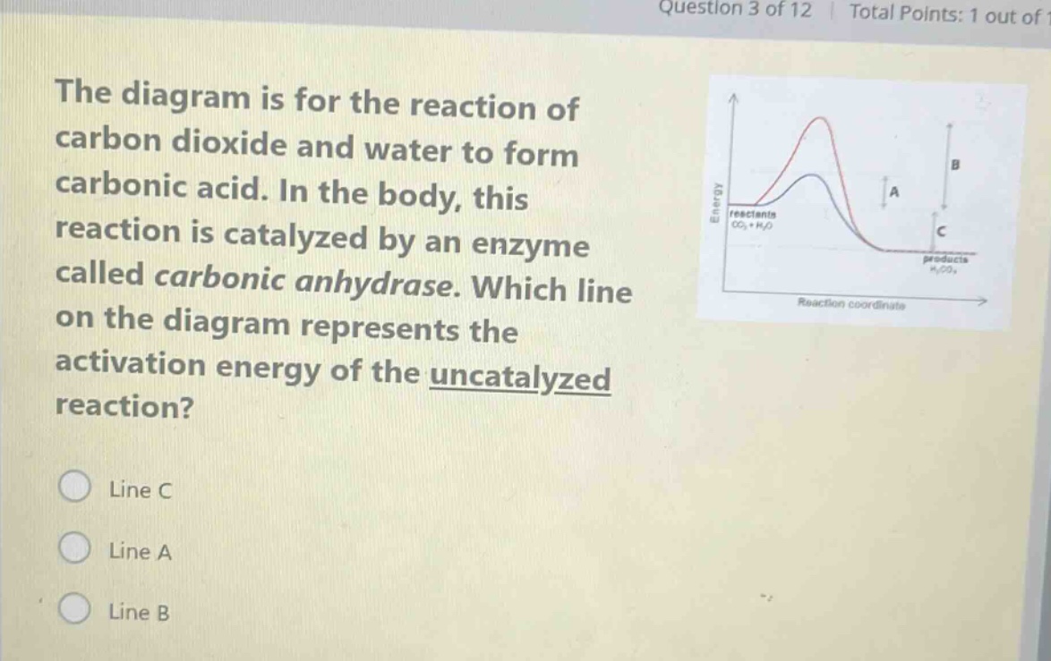 the diagram is for the reaction of carbon dioxide and water to form carbonic acid. in the body, this reaction is catalyzed by an enzyme called carbonic anhydrase. which line on the diagram represents the activation energy of the uncatalyzed reaction? line c line a line b