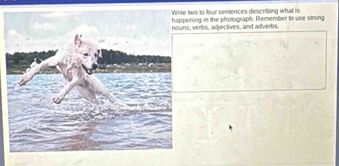write two to four sentences describing what is happening in the photograph. remember to use strong nouns, verbs, adjectives, and adverbs.
