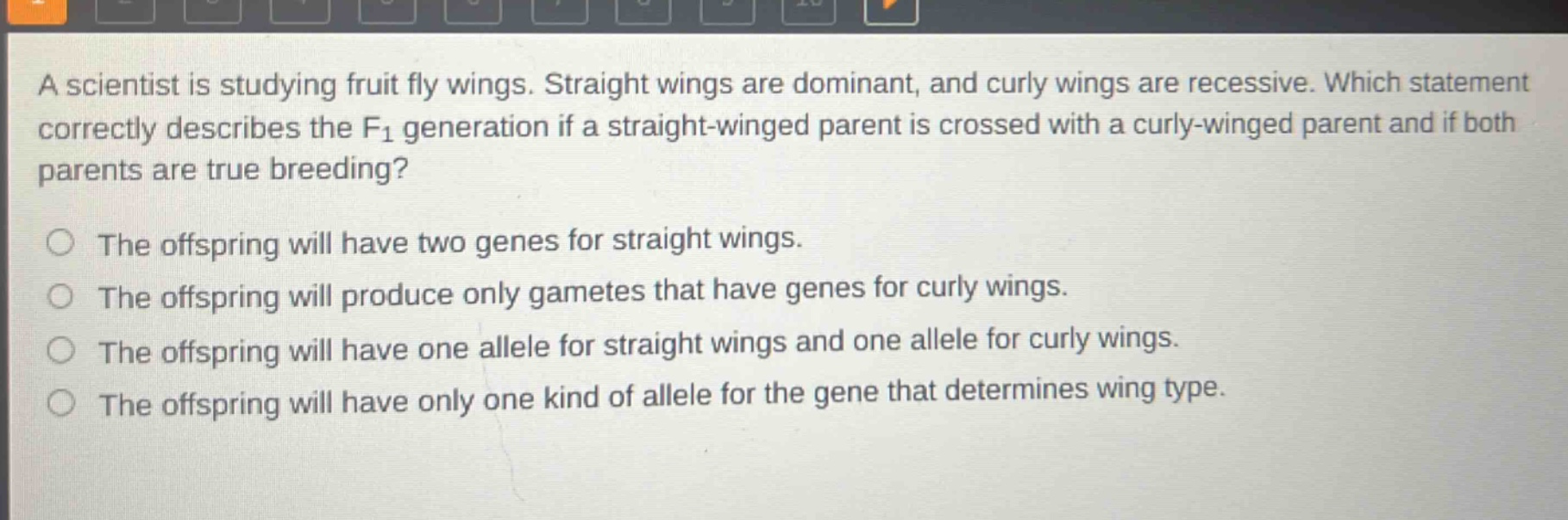 a scientist is studying fruit fly wings. straight wings are dominant, and curly wings are recessive. which statement correctly describes the f1 generation if a straight - winged parent is crossed with a curly - winged parent and if both parents are true breeding? the offspring will have two genes for straight wings. the offspring will produce only gametes that have genes for curly wings. the offspring will have one allele for straight wings and one allele for curly wings. the offspring will have only one kind of allele for the gene that determines wing type.
