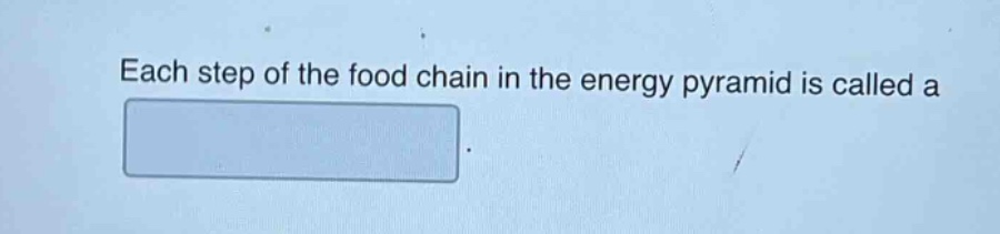 each step of the food chain in the energy pyramid is called a