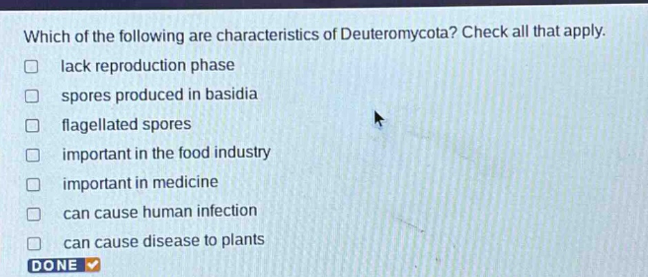 which of the following are characteristics of deuteromycota? check all that apply. lack reproduction phase spores produced in basidia flagellated spores important in the food industry important in medicine can cause human infection can cause disease to plants done