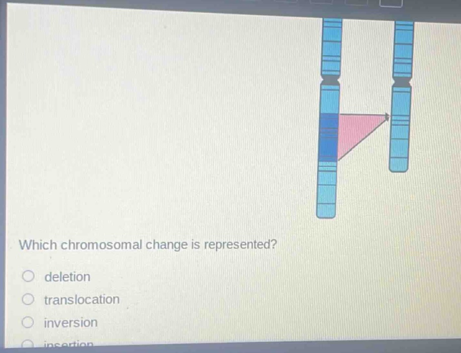 which chromosomal change is represented?\ndeletion\ntranslocation\ninversion\ninsertion