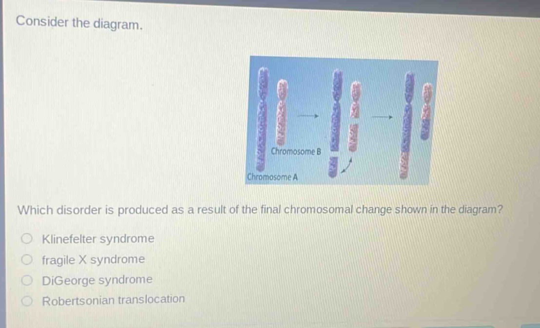 consider the diagram. which disorder is produced as a result of the final chromosomal change shown in the diagram? klinefelter syndrome fragile x syndrome digeorge syndrome robertsonian translocation