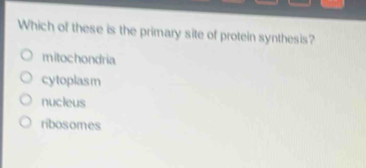 which of these is the primary site of protein synthesis?\nmitochondria\ncytoplasm\nnucleus\nribosomes