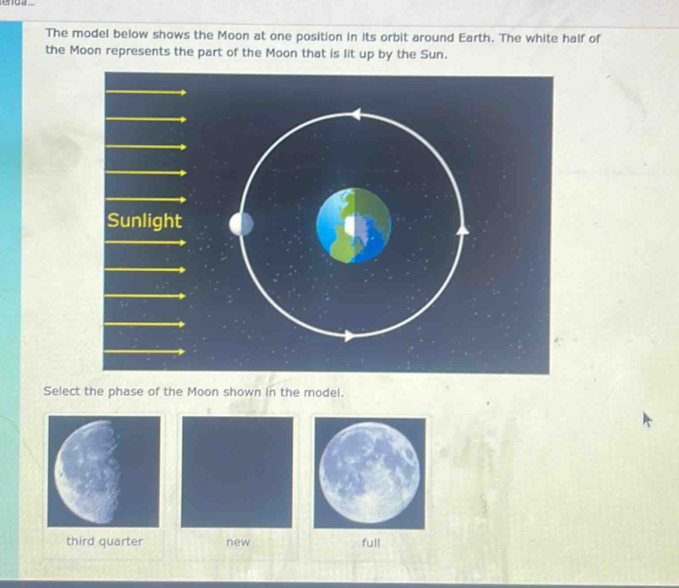 the model below shows the moon at one position in its orbit around earth. the white half of the moon represents the part of the moon that is lit up by the sun. select the phase of the moon shown in the model. third quarter new full