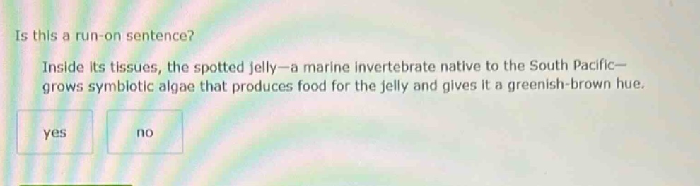 is this a run - on sentence? inside its tissues, the spotted jelly—a marine invertebrate native to the south pacific—grows symbiotic algae that produces food for the jelly and gives it a greenish - brown hue. yes no