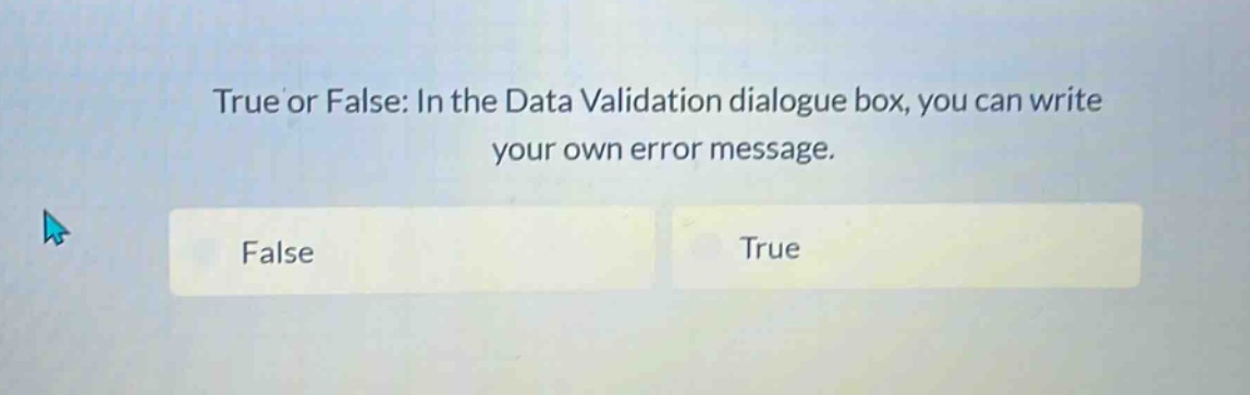 true or false: in the data validation dialogue box, you can write your own error message. false true