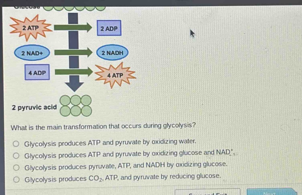 what is the main transformation that occurs during glycolysis?\nglycolysis produces atp and pyruvate by oxidizing water.\nglycolysis produces atp and pyruvate by oxidizing glucose and nad+.\nglycolysis produces pyruvate, atp, and nadh by oxidizing glucose.\nglycolysis produces co2, atp, and pyruvate by reducing glucose.