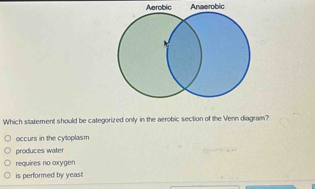 which statement should be categorized only in the aerobic section of the venn diagram? occurs in the cytoplasm produces water requires no oxygen is performed by yeast