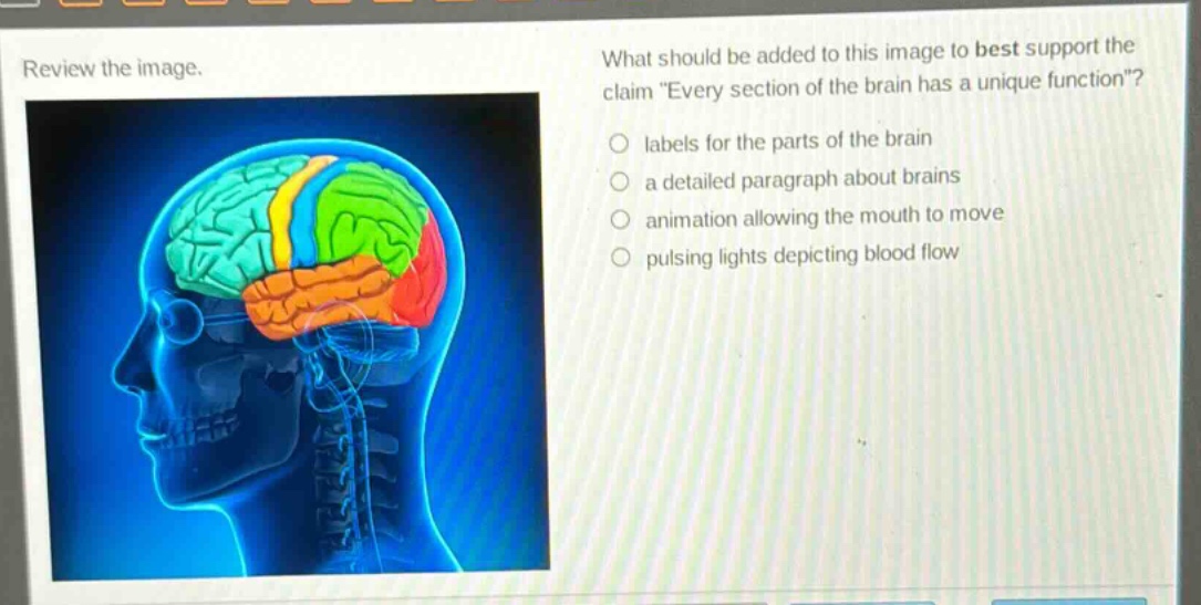 review the image. what should be added to this image to best support the claim every section of the brain has a unique function? labels for the parts of the brain a detailed paragraph about brains animation allowing the mouth to move pulsing lights depicting blood flow