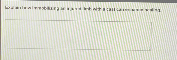explain how immobilizing an injured limb with a cast can enhance healing.