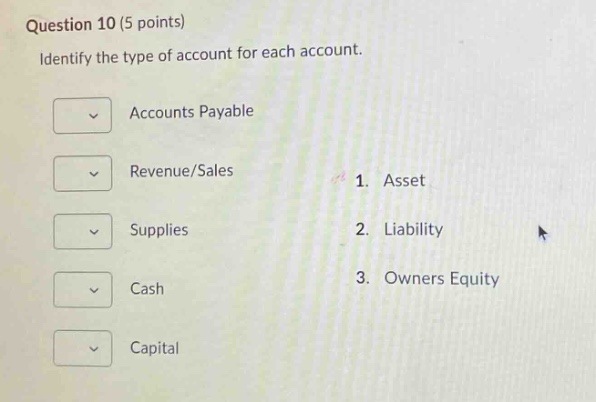 question 10 (5 points) identify the type of account for each account. accounts payable revenue/sales 1. asset supplies 2. liability cash 3. owners equity capital