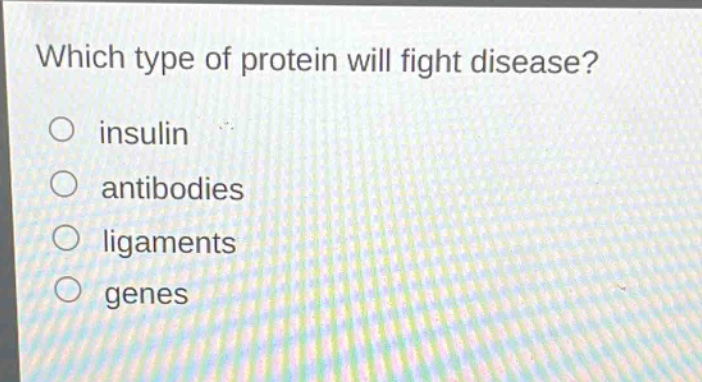 which type of protein will fight disease?\no insulin\no antibodies\no ligaments\no genes