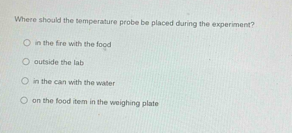 where should the temperature probe be placed during the experiment? in the fire with the food outside the lab in the can with the water on the food item in the weighing plate