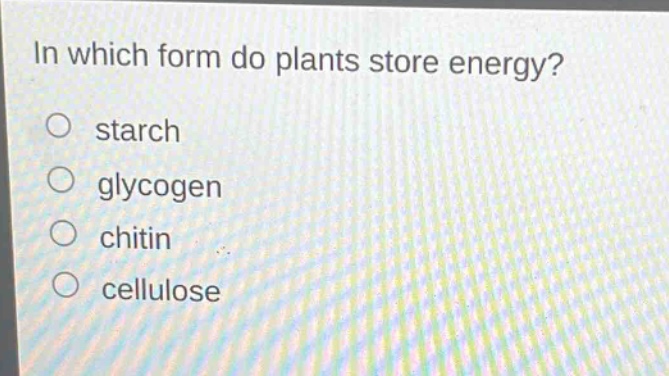 in which form do plants store energy?\nstarch\nglycogen\nchitin\ncellulose