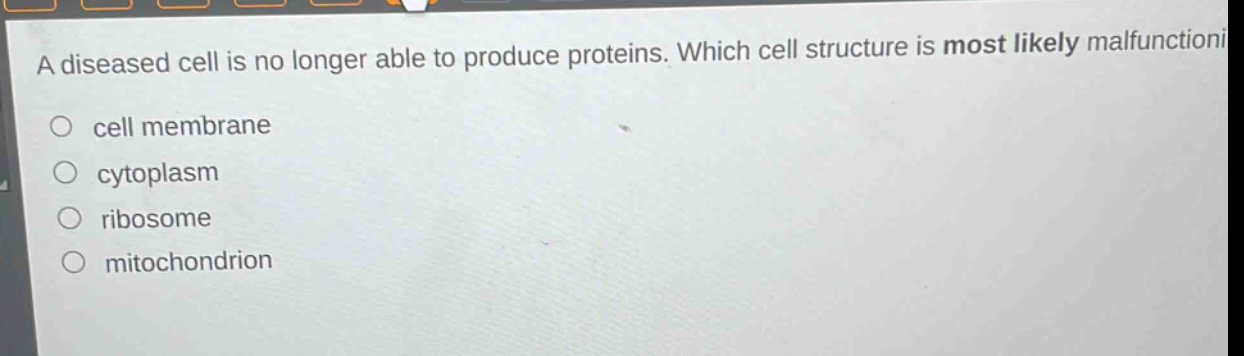 a diseased cell is no longer able to produce proteins. which cell structure is most likely malfunctioning? cell membrane cytoplasm ribosome mitochondrion
