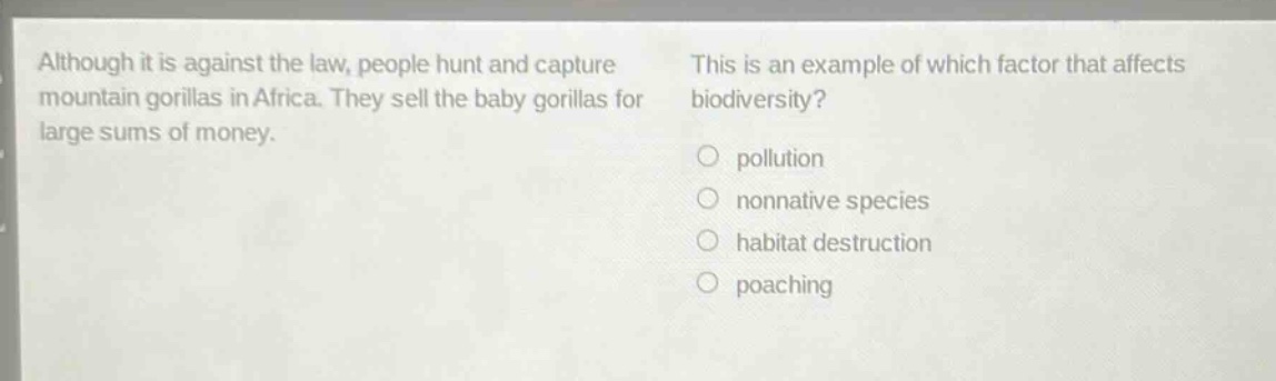 although it is against the law, people hunt and capture mountain gorillas in africa. they sell the baby gorillas for large sums of money. this is an example of which factor that affects biodiversity? pollution nonnative species habitat destruction poaching