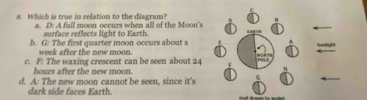 8. which is true in relation to the diagram? a. d: a full moon occurs when all of the moons surface reflects light to earth. b. g: the first quarter moon occurs about a week after the new moon. c. f: the waxing crescent can be seen about 24 hours after the new moon. d. a: the new moon cannot be seen, since its dark side faces earth.