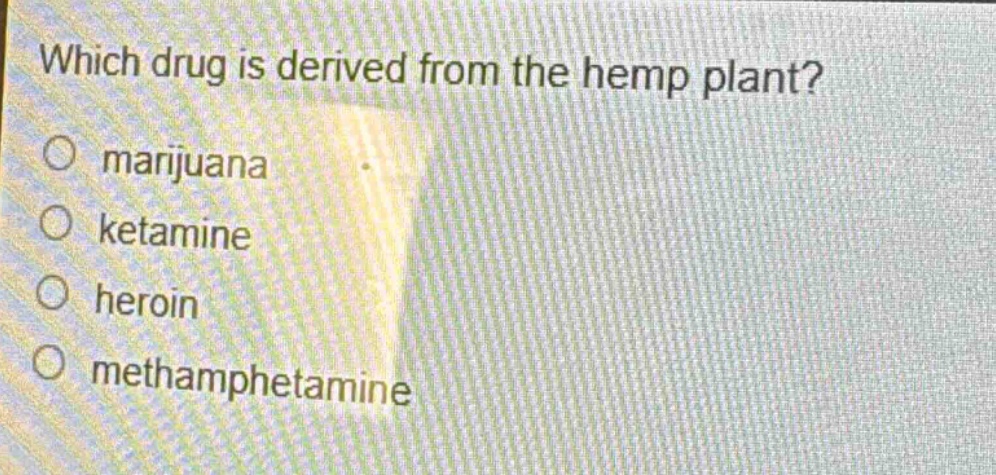 which drug is derived from the hemp plant?\no marijuana\no ketamine\no heroin\no methamphetamine