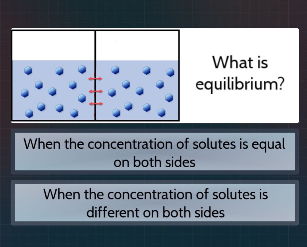 what is equilibrium? when the concentration of solutes is equal on both sides when the concentration of solutes is different on both sides