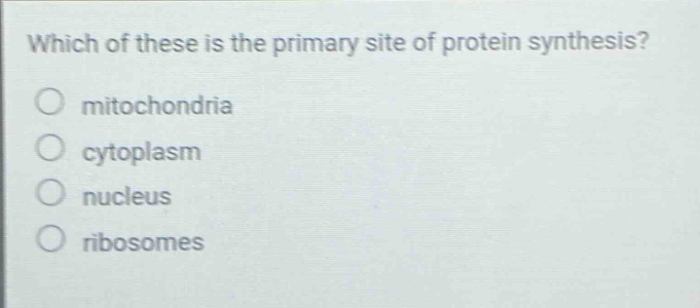 which of these is the primary site of protein synthesis? mitochondria cytoplasm nucleus ribosomes
