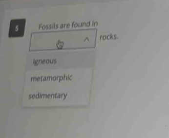 fossils are found in rocks. igneous metamorphic sedimentary