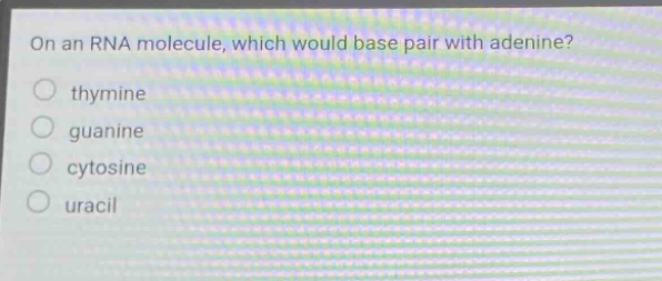 on an rna molecule, which would base pair with adenine?\nthymine\nguanine\ncytosine\nuracil