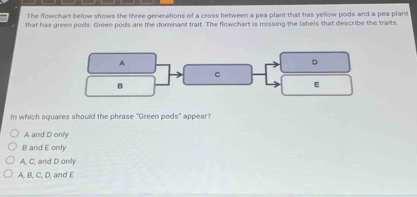 the flowchart below shows the three generations of a cross between a pea plant that has yellow pods and a pea plant that has green pods. green pods are the dominant trait. the flowchart is missing the labels that describe the traits. in which squares should the phrase \green pods\ appear? a and d only b and e only a, c, and d only a, b, c, d, and e